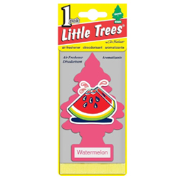 ������������ "������" ����� CAR FRESHNER  ������ � ����������