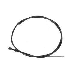 ���� ��������� 2131 ������ � ����������