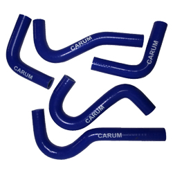 ������ ��������� 3302 ������ (5 ��) �������, Carum ������ � ����������