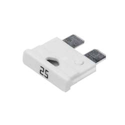 �������������� ��������� 25 �, Cargen ������ � ����������