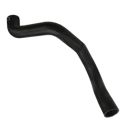 �������� ��������� X-Ray ��. P4M, P4P ���������� �������� ������ � ����������