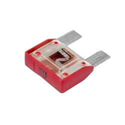 �������������� ��������� 2170 50�, Cargen ������ � ����������